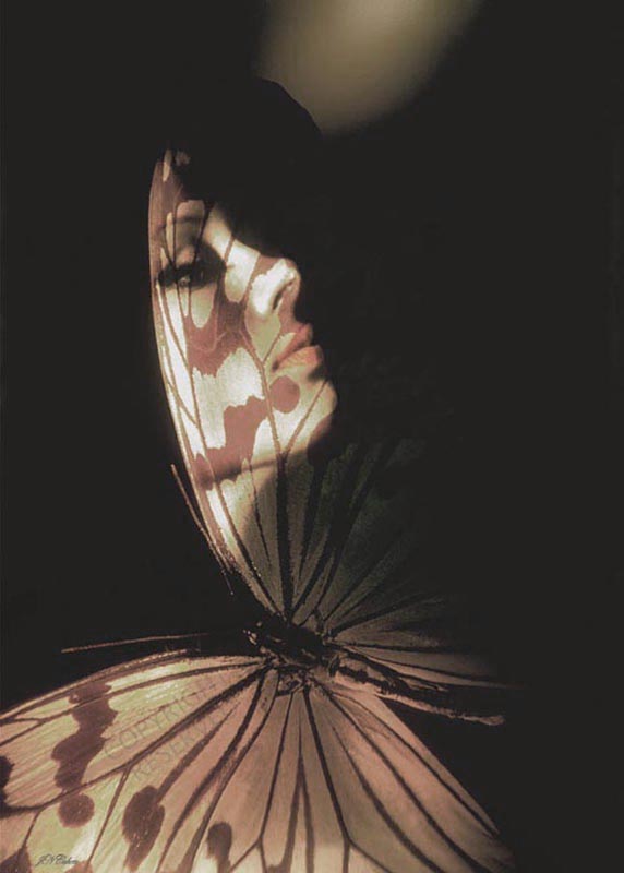 Large Limited Edition Madam Butterfly 1 by John Neville Cohen