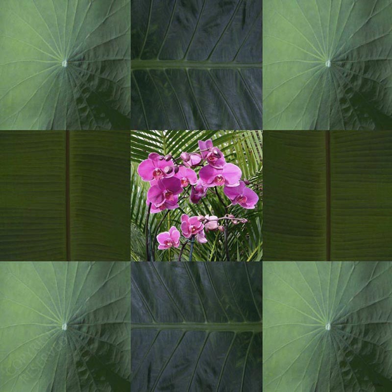 John Neville Cohen, Framed Orchids 18, Palm leaves, Lotus leaves, Green, Pink