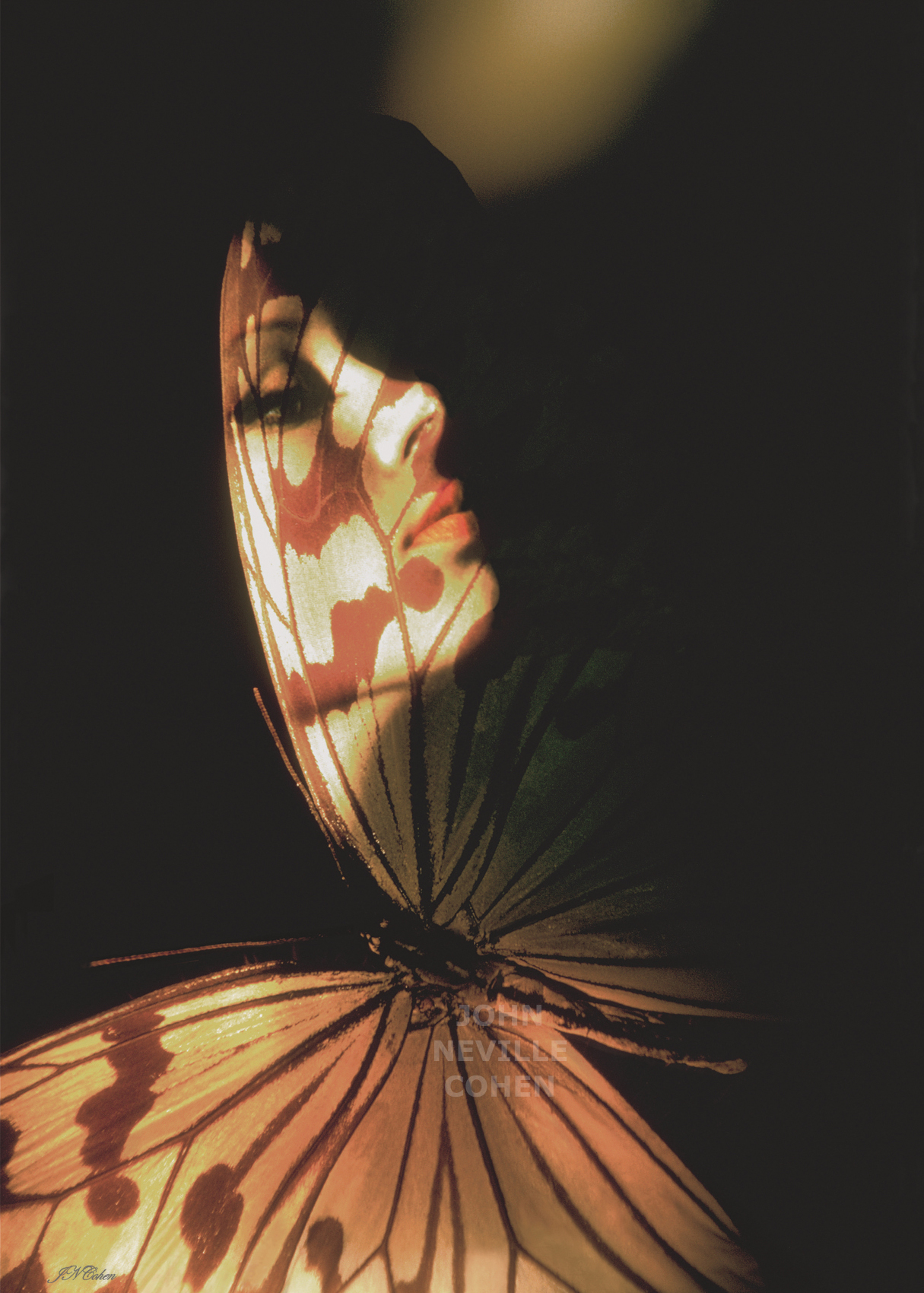 Madam Butterfly, Painting with Light Limited Edition Prints for sale by John Neville Cohen.